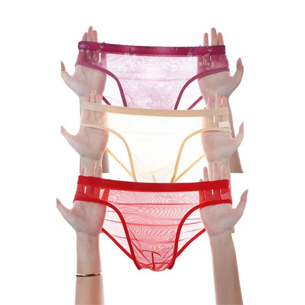 3Pcs See Through Men's Sexy Briefs Seamless