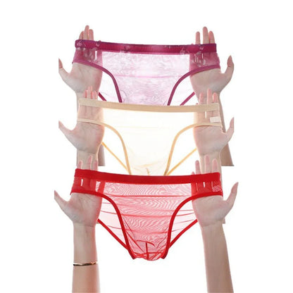 3Pcs See Through Men's Sexy Briefs Seamless
