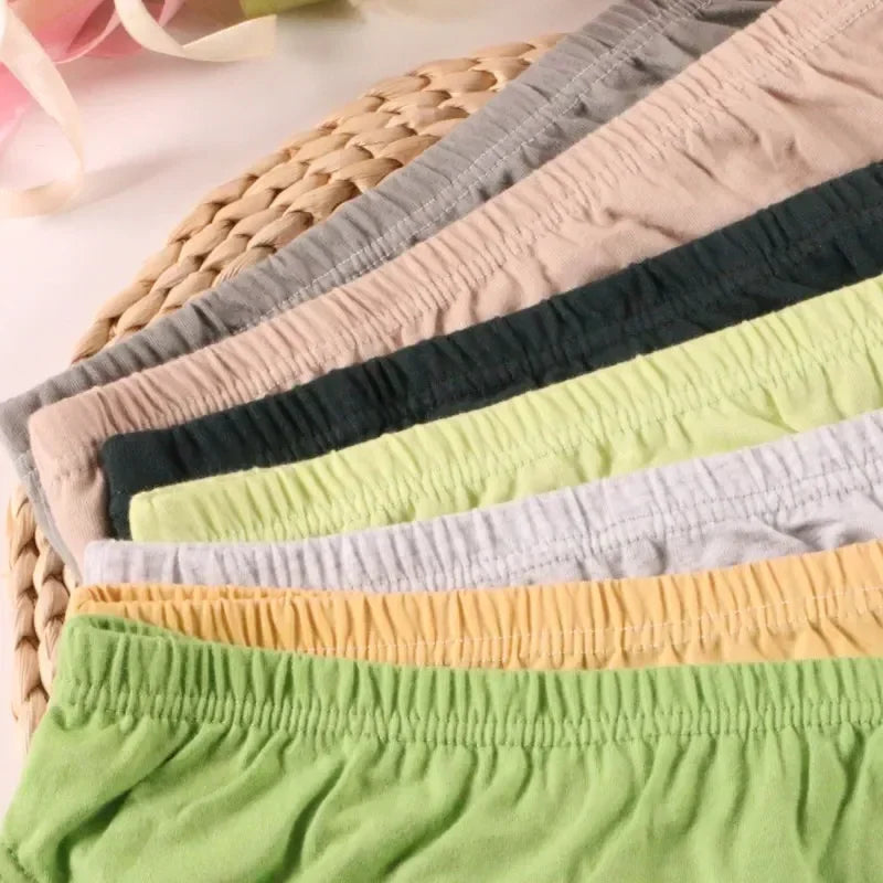 24pcs Boys Briefs Underwear Cotton