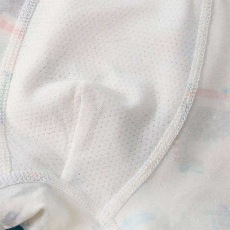 4Pcs Cute Dinosaur Boys Cotton Antibacterial Breathable Underwear