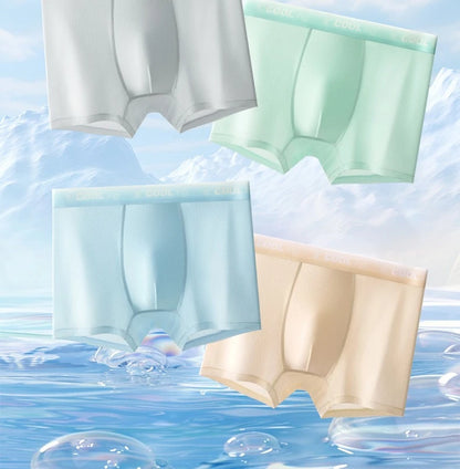 4PCS Mesh Breathable Teen Boy Comfort Antibacterial Underwear