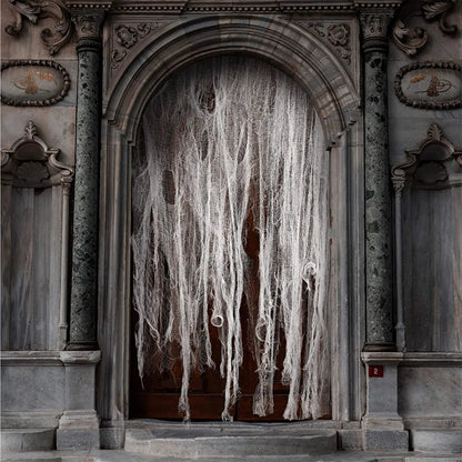 Horror Bloodstained Indoor Spooky Black Spider Web