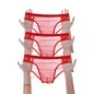 3Pcs See Through Men's Sexy Briefs Seamless