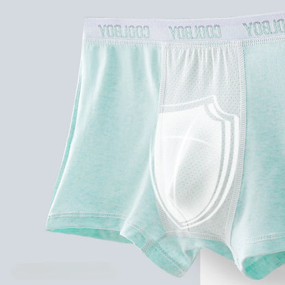 4PCS Teen Boys Underwear Briefs