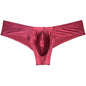 Sexy Men's Shiny Silk Mini Bikini Underwear