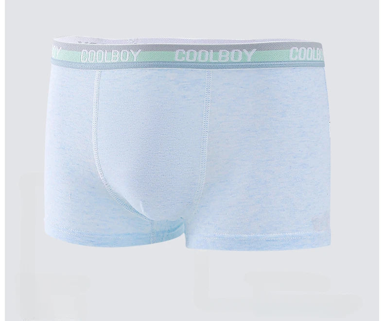 4PCS Teen Boys Underwear Briefs