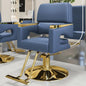 Barber Chair Comfortable Luxury Salon Hairdresser Chair