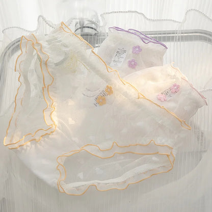 6 Pcs girls Teenager Middle Waist Brief Underwear