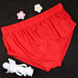 Shiny Ice Silk Satin Tight Elastic Panties