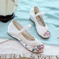 Womens Cloth Shoes Streetwear Embroidery Casual Vintage