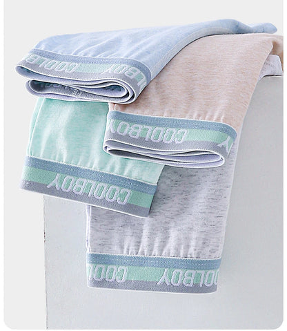 4PCS Teen Boys Underwear Briefs