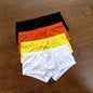 4PCS Sexy Men Brief Summer Breathable Underwear