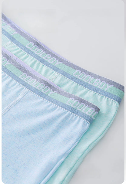 4PCS Teen Boys Underwear Briefs