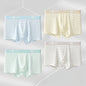 4PCS Teen Boys Mesh Breathable Young Children Underwear