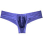 Sexy Men's Shiny Silk Mini Bikini Underwear