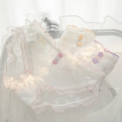 6 Pcs girls Teenager Middle Waist Brief Underwear
