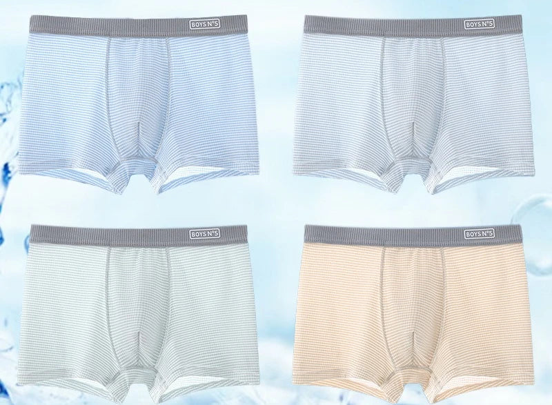 4PCS Teen Boys Mesh Breathable Underwear