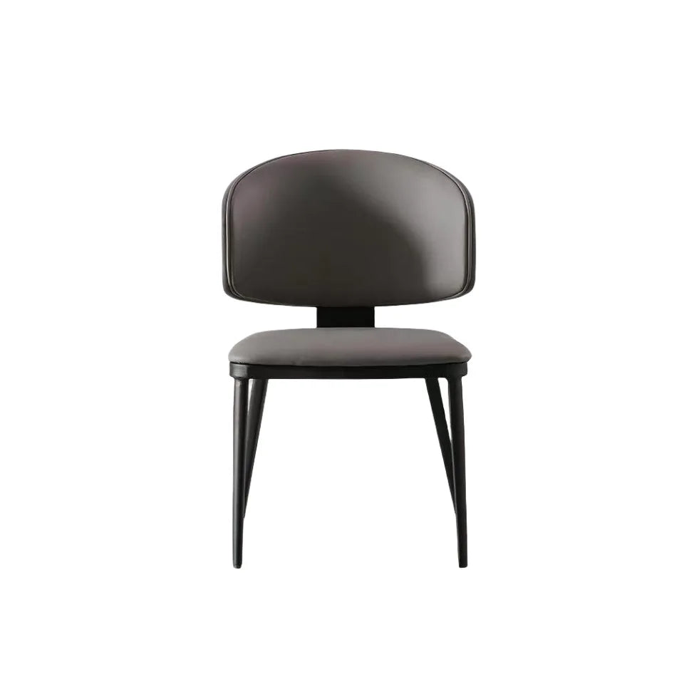Cat scratch leather dining chair modern