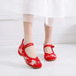 Women Casual Zapatos Vintage Cloth Single Shoes