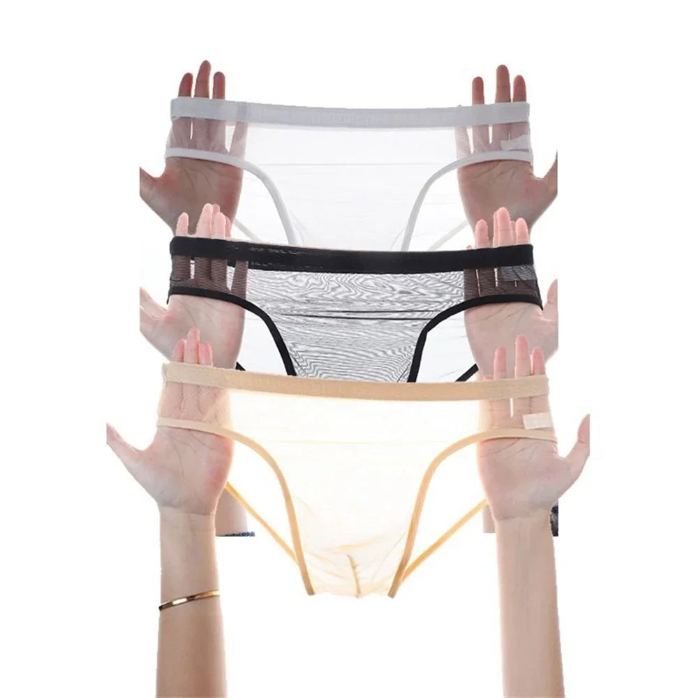 3Pcs See Through Men's Sexy Briefs Seamless