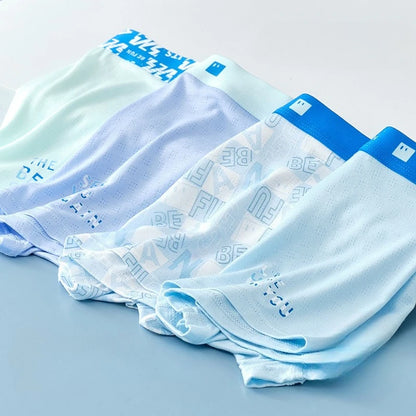 4PCS Teen Boys Mesh Breathable Antibacterial Underwear