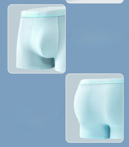 4PCS Mesh Breathable Teen Boy Comfort Antibacterial Underwear