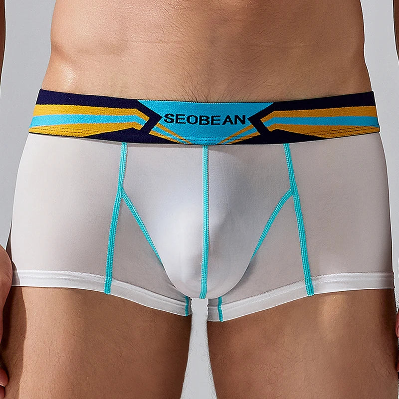 Men's Translucent Nylon Inner Pouch Boxer Briefs