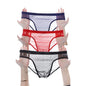 3Pcs See Through Men's Sexy Briefs Seamless
