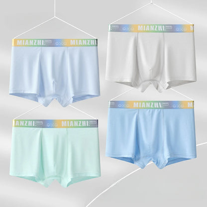 4PCS Teen Boys Mesh Breathable Young Children Underwear