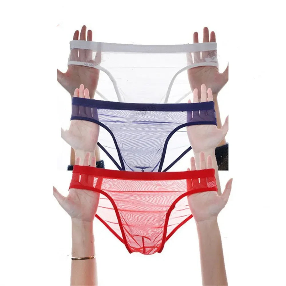 3Pcs See Through Men's Sexy Briefs Seamless
