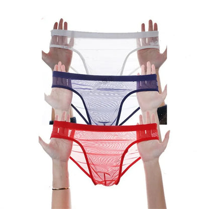 3Pcs See Through Men's Sexy Briefs Seamless