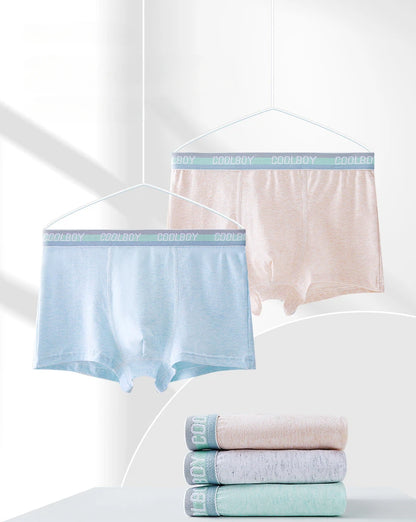 4PCS Teen Boys Underwear Briefs