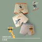 6 Pcs High Quality Boys Boxer Cartoon Underwear