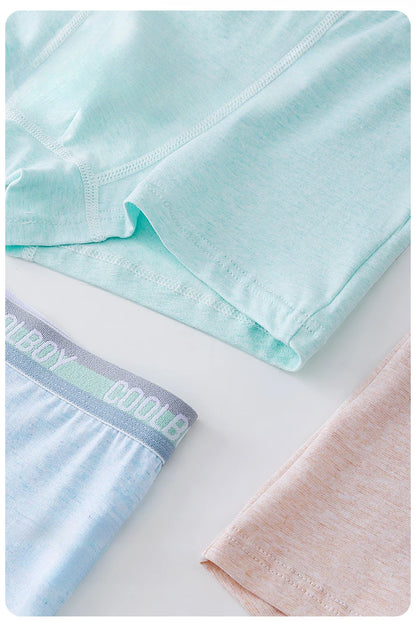 4PCS Teen Boys Underwear Briefs