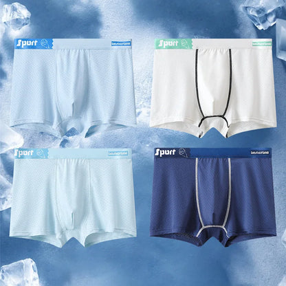 4PCS Teens Boys Mesh Breathable Comfort Antibacterial Underwear