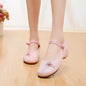 Womens Cloth Shoes Streetwear Embroidery Casual Vintage