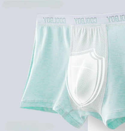 4PCS Teen Boys Underwear Briefs