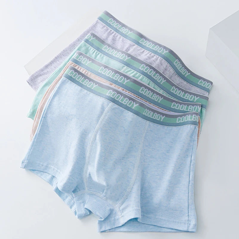 4PCS Teen Boys Underwear Briefs