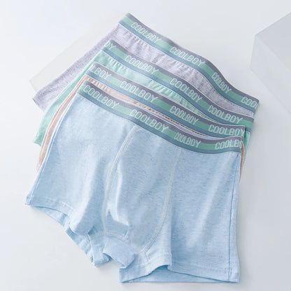 4PCS Teen Boys Underwear Briefs