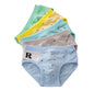5 Pcs Boys Teenagers Briefs Underwear