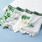 4PCS Teen Boys Mesh Breathable Antibacterial Underwear