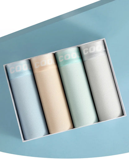 4PCS Mesh Breathable Teen Boy Comfort Antibacterial Underwear