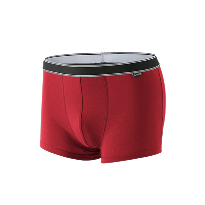Men Boxer Underwear Breathable Sexy Boxershorts
