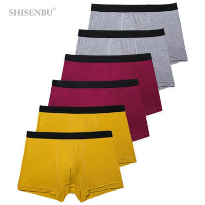 6pc Sexy  Boxer Men Breathable Underwear