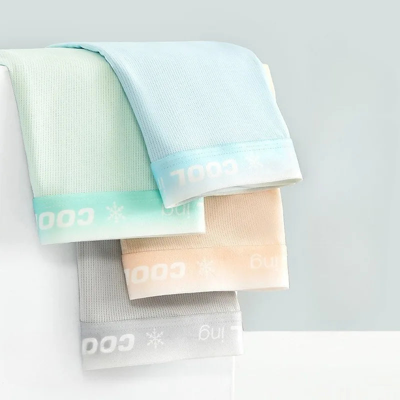 4PCS Mesh Breathable Teen Boy Comfort Antibacterial Underwear