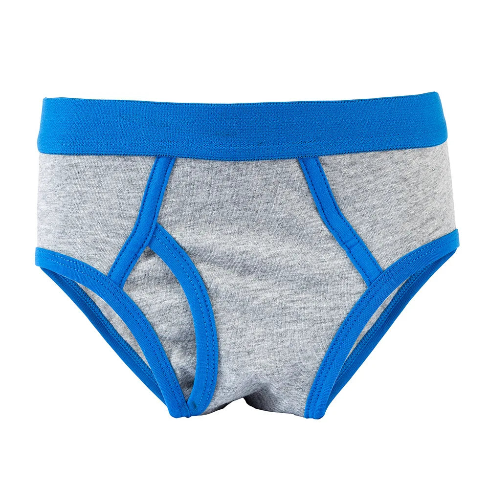 5Pcs Quality Boys Cotton Briefs Underwear