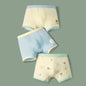 6 Pcs High Quality Boys Boxer Cartoon Underwear