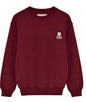 Boys Velvet Sweatshirts and Pants Fashion Long Sleeve