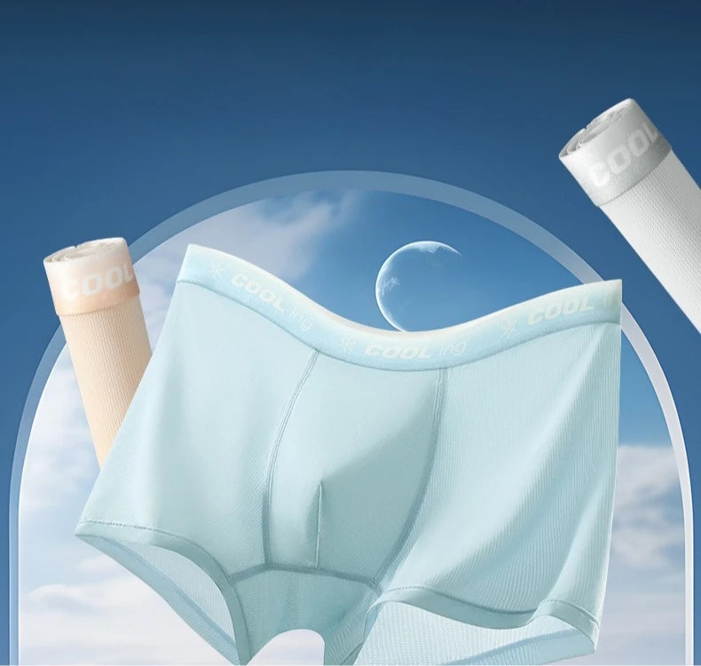 4PCS Mesh Breathable Teen Boy Comfort Antibacterial Underwear