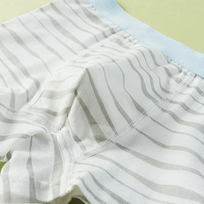 4PCS Cotton Antibacterial Boys Breathable Comfort Underwear